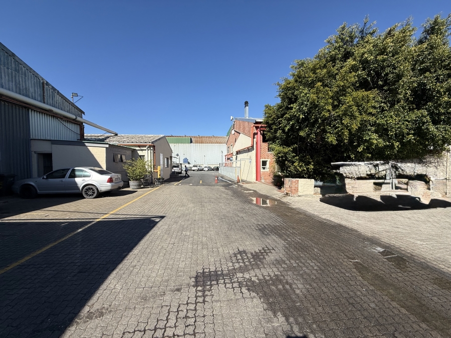 To Let commercial Property for Rent in Triangle Farm Western Cape